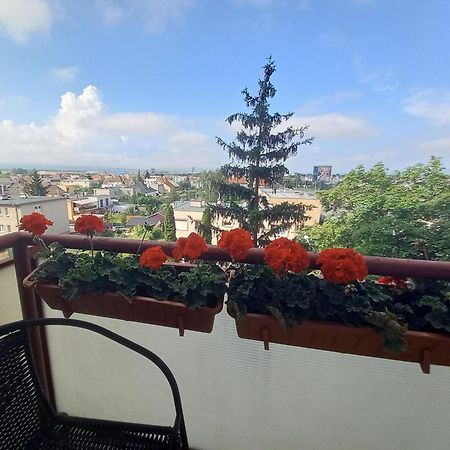 Apartman Lienka Free Parking City Centre Trenčín Exteriör bild